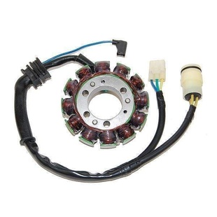 ELECTROSPORT Stator (vinutí) alternátoru HONDA TRX 300FW Fourtrax 88-00 (12 polový) s kabelem na světla